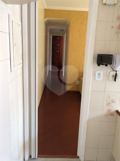Foto REO615031
