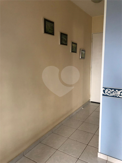 Foto REO615726