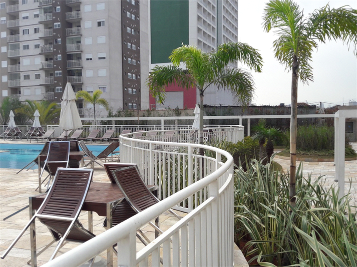 Foto REO615743