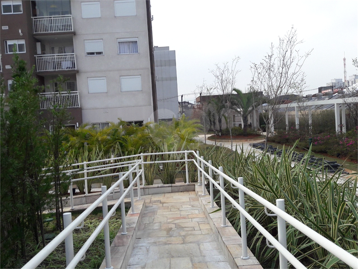 Foto REO615743