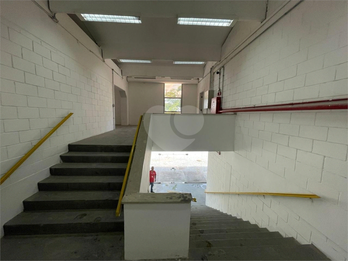 Foto REO615950