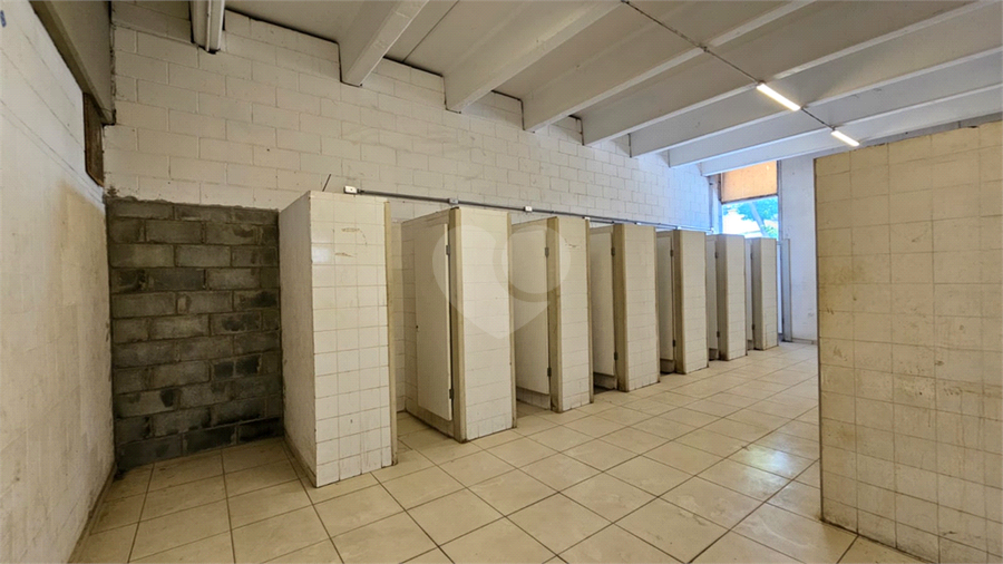 Foto REO615950