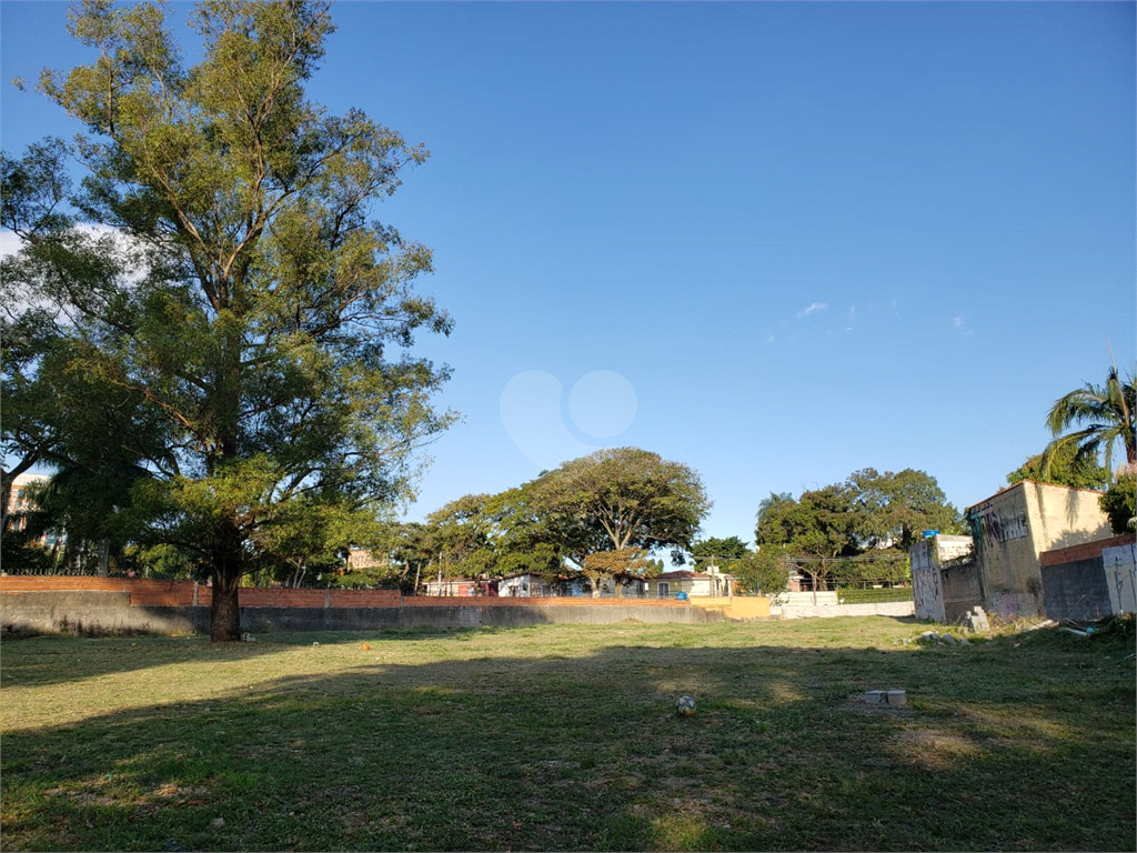 Venda Terreno São Paulo Campo Belo REO616086 5