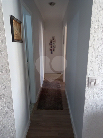 Foto REO616291