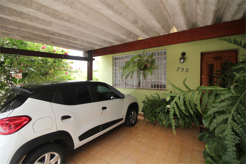 Foto REO616317