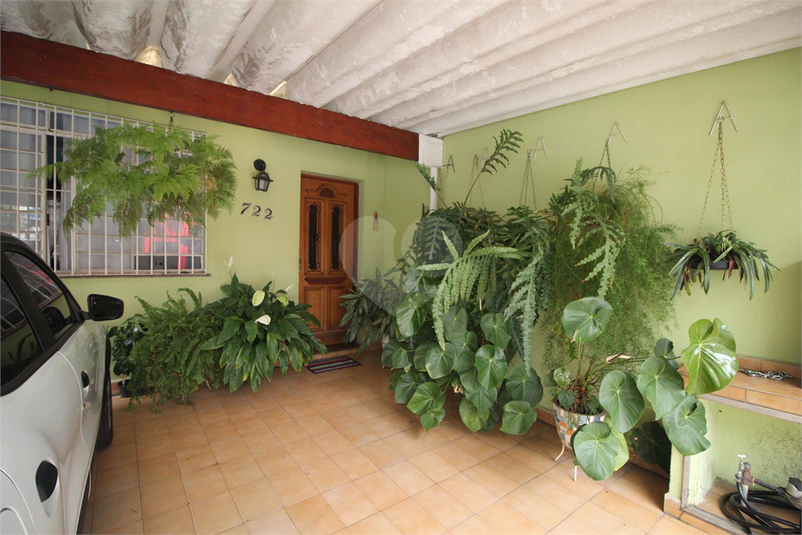 Foto REO616317