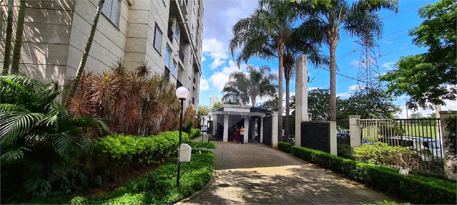 Foto REO616558