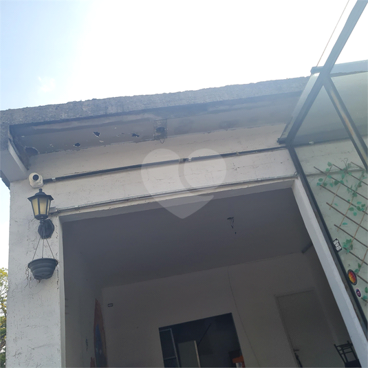 Foto REO61687