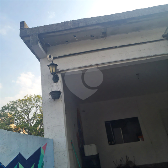 Foto REO61687