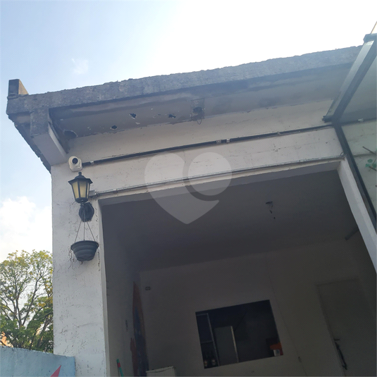 Foto REO61687