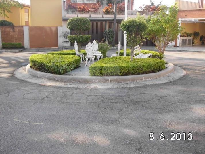 Foto REO61728