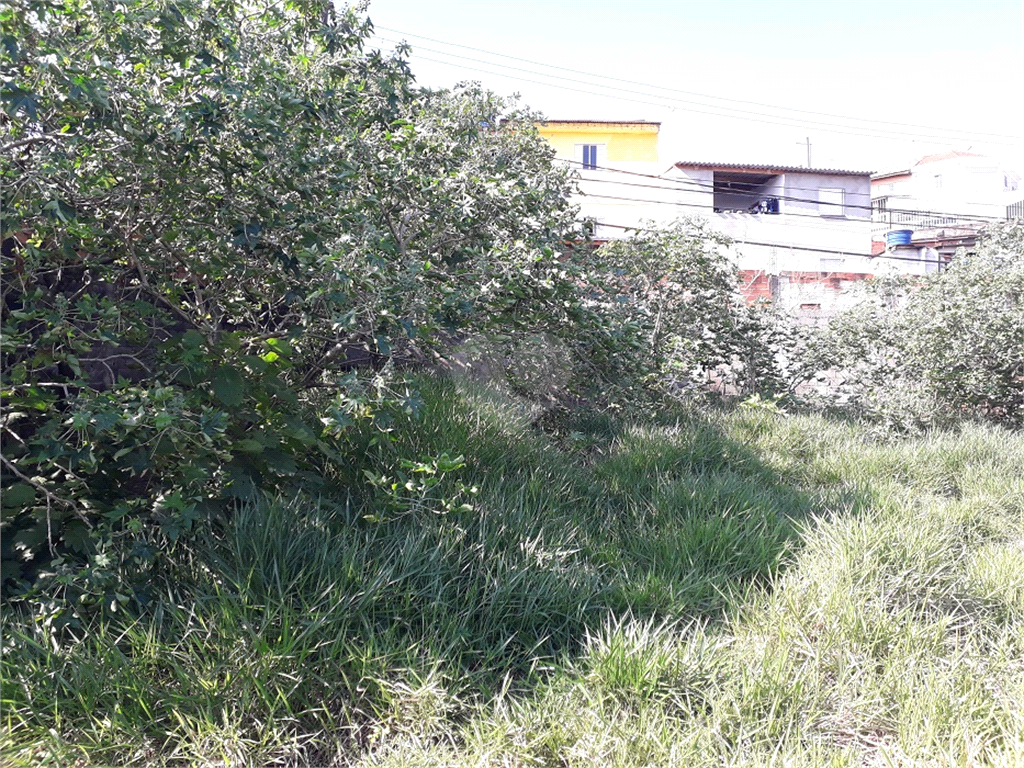 Venda Terreno São Paulo Jardim Umarizal REO617353 4