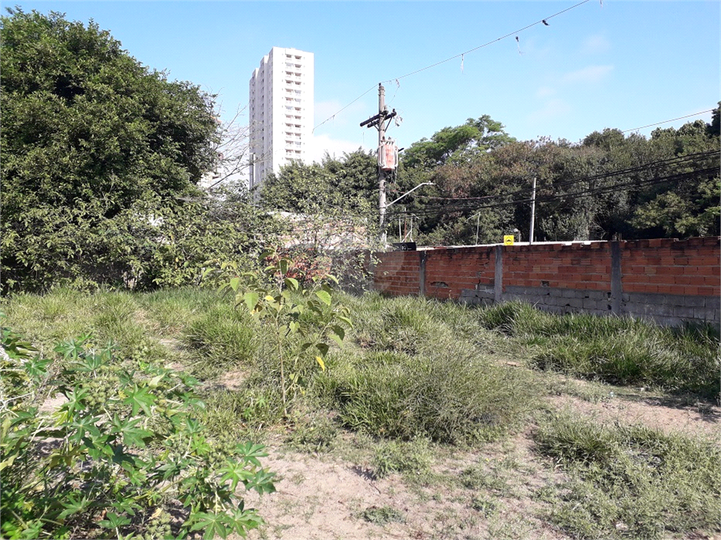 Venda Terreno São Paulo Jardim Umarizal REO617353 13