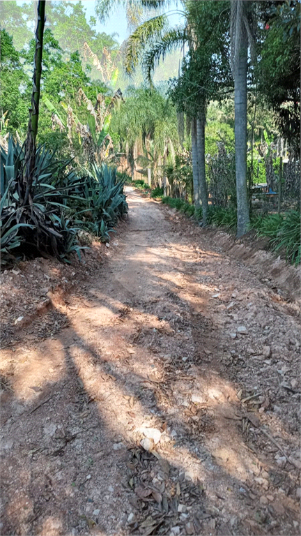 Venda Sítio Ribeirão Grande Centro REO617585 18