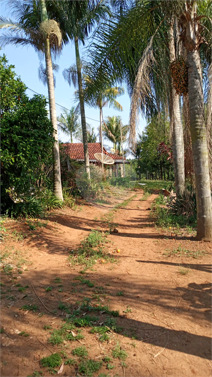 Venda Sítio Ribeirão Grande Centro REO617585 13