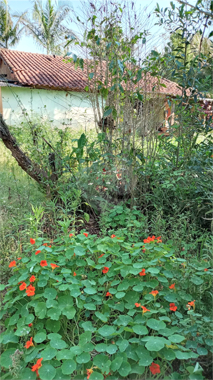 Venda Sítio Ribeirão Grande Centro REO617585 16