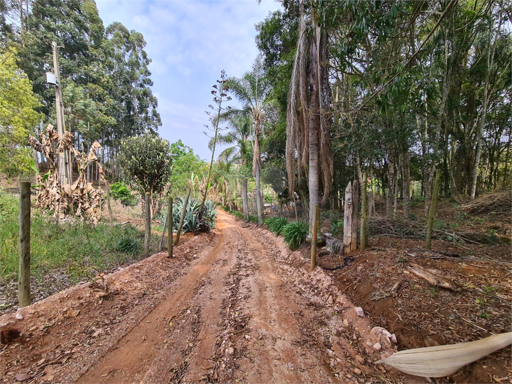 Venda Sítio Ribeirão Grande Centro REO617585 15