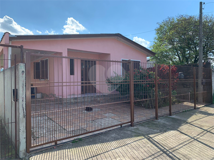 Foto REO617886