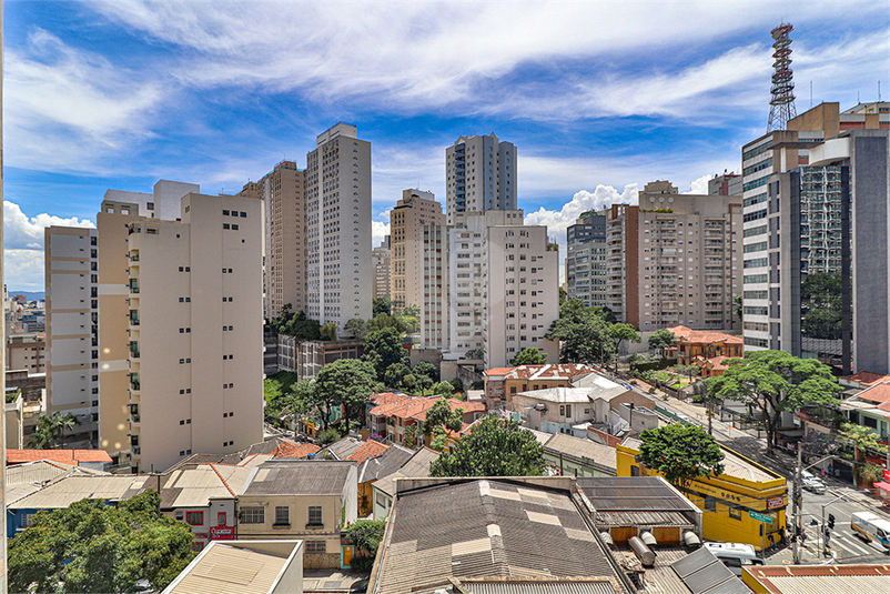 Foto REO618369