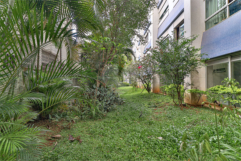 Foto REO618369