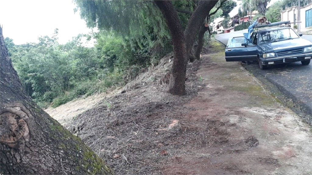 Venda Terreno São Carlos Parque Santa Mônica REO618408 5