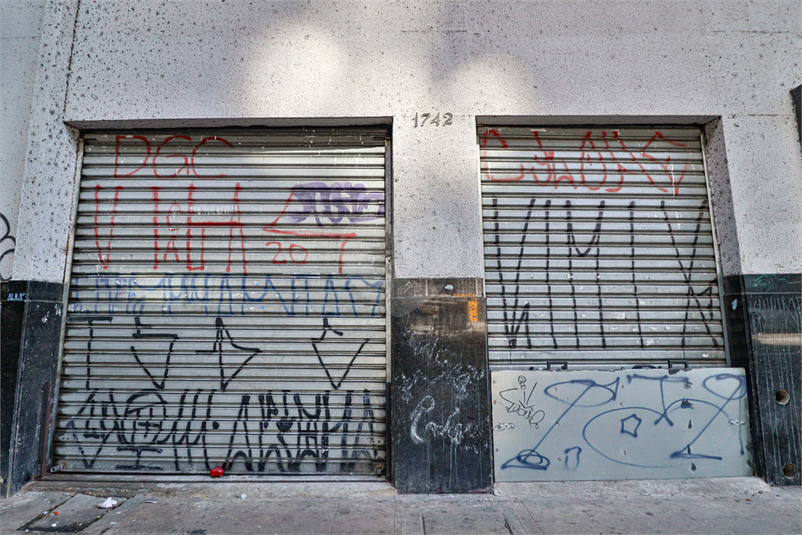 Foto REO619147