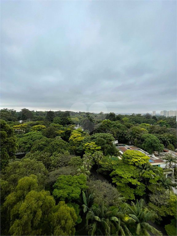 Foto REO619462
