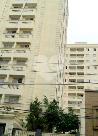 Aluguel Apartamento São Paulo Mooca REO619541 18