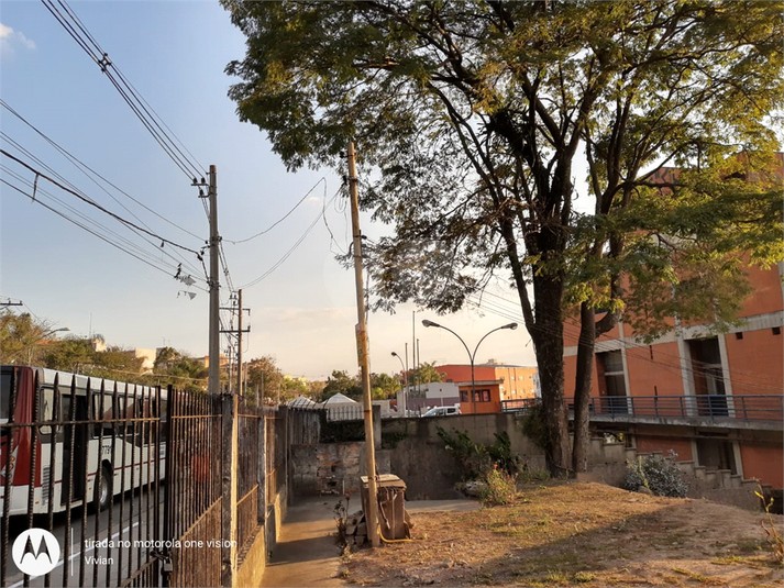 Foto REO619547