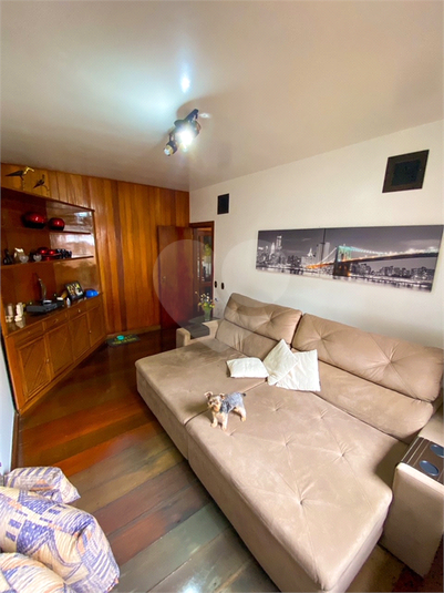 Foto REO619572