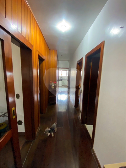 Foto REO619572