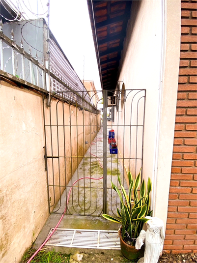 Foto REO619572
