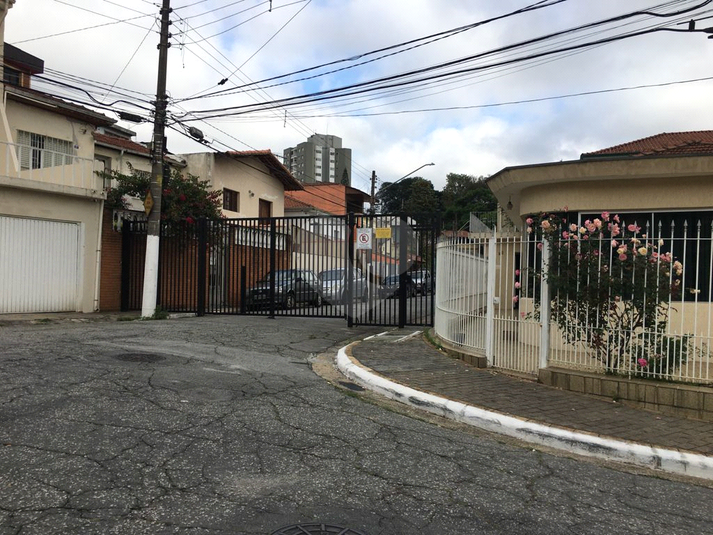 Foto REO619613