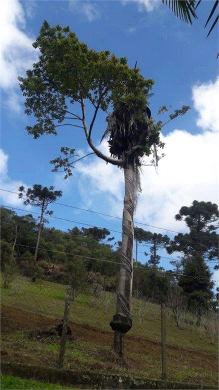 Venda Sítio Juquitiba Barnabés REO620292 66