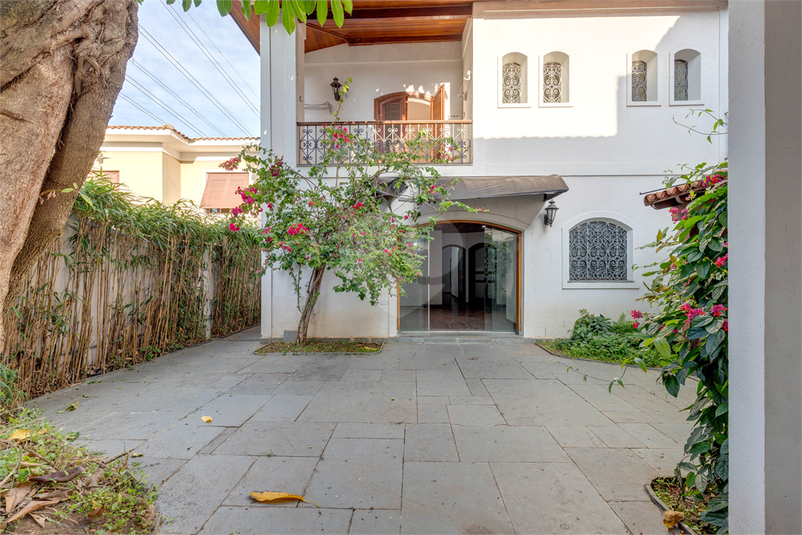 Foto REO620533