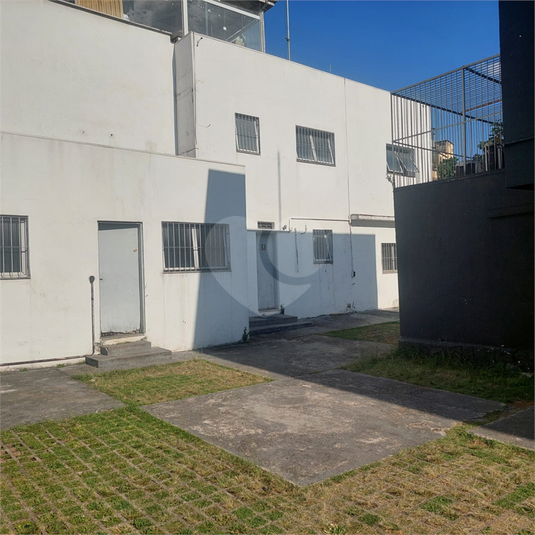 Foto REO620783