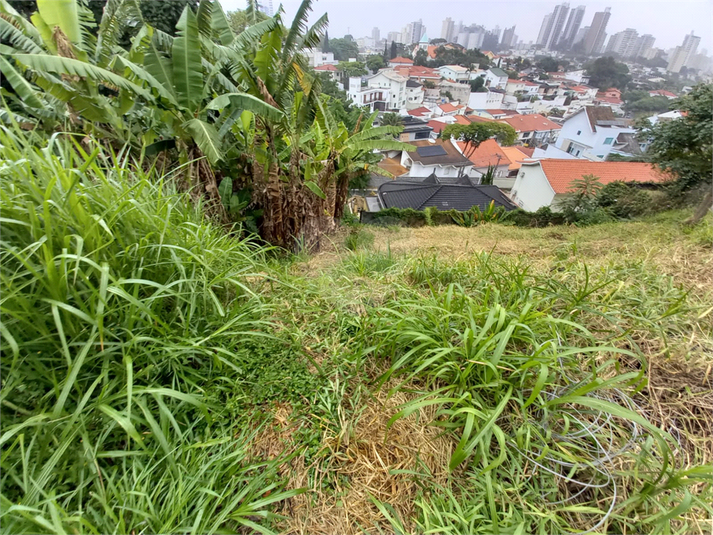 Venda Terreno São Paulo Jardim Franca REO620799 2