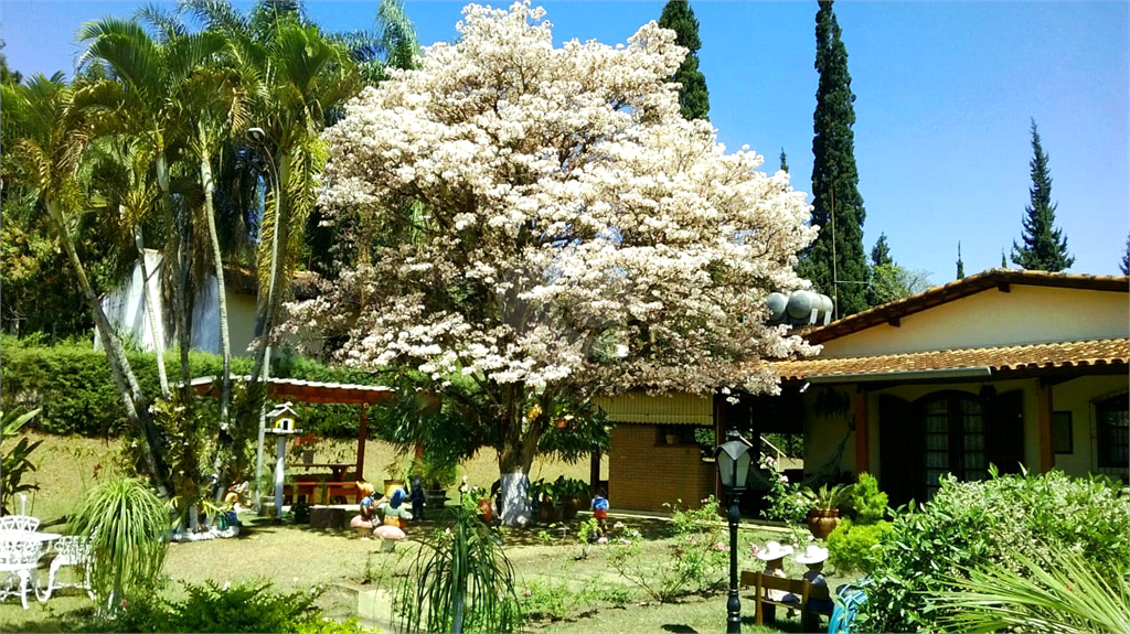 Venda Chácara Caçapava Chácaras Santa Rita REO621037 10