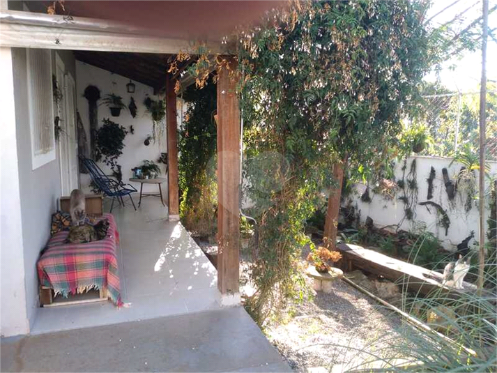 Foto REO621150