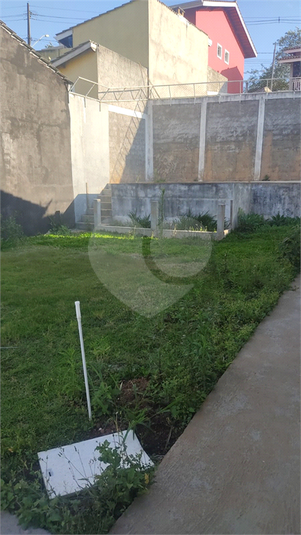 Foto REO621150