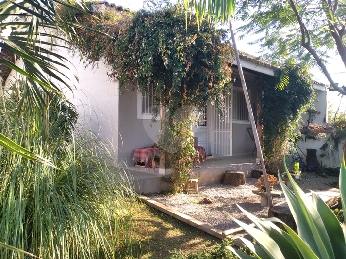 Foto REO621150