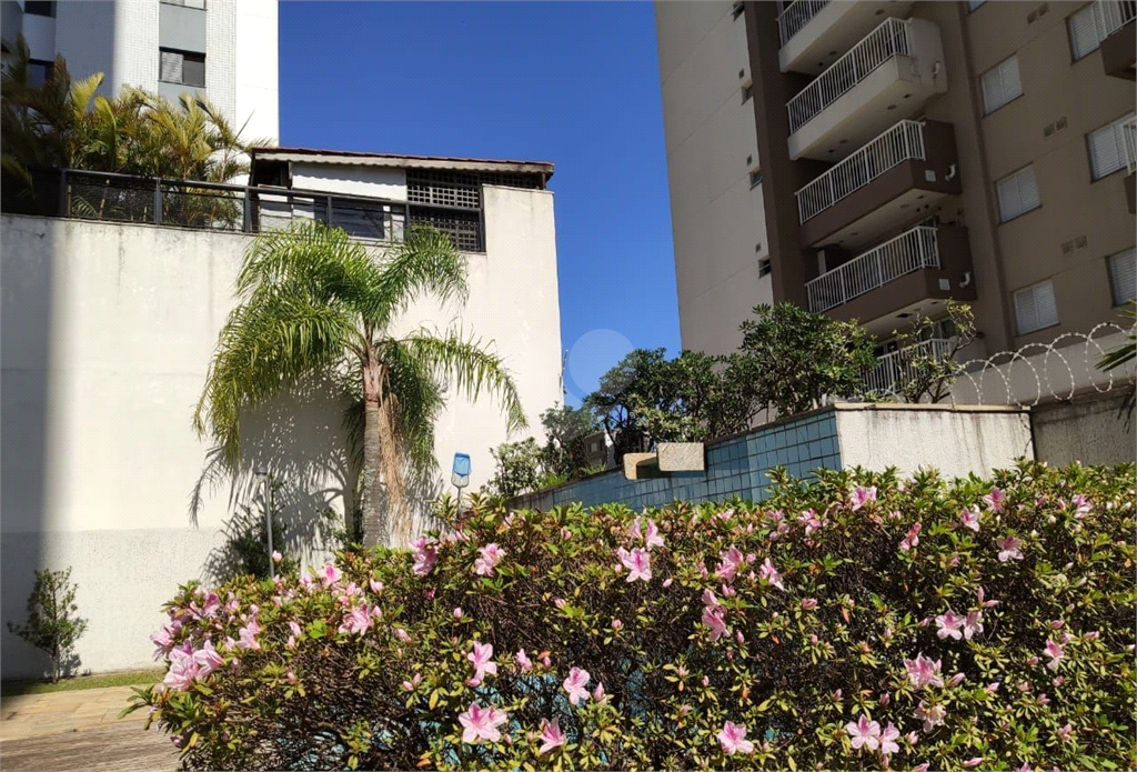 Venda Apartamento São Paulo Fazenda Morumbi REO621214 15