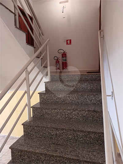 Foto REO621287