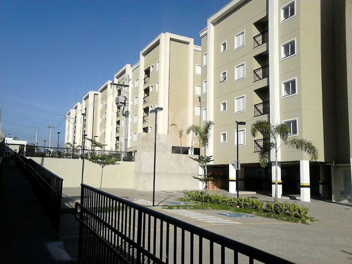 Foto REO621382
