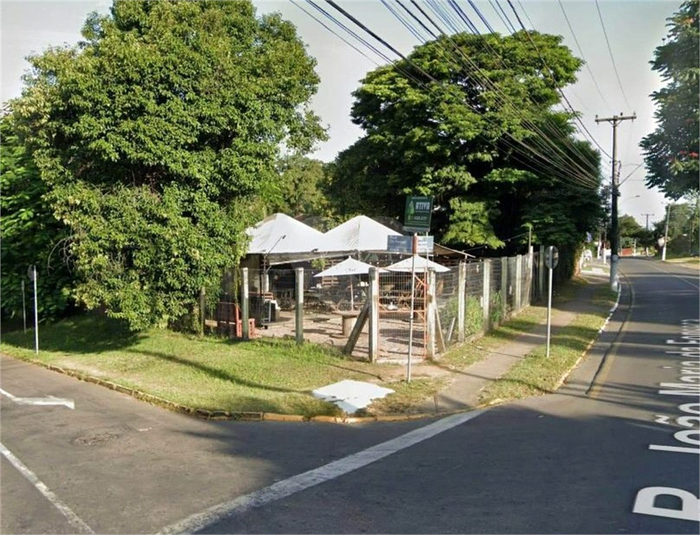 Foto REO621405