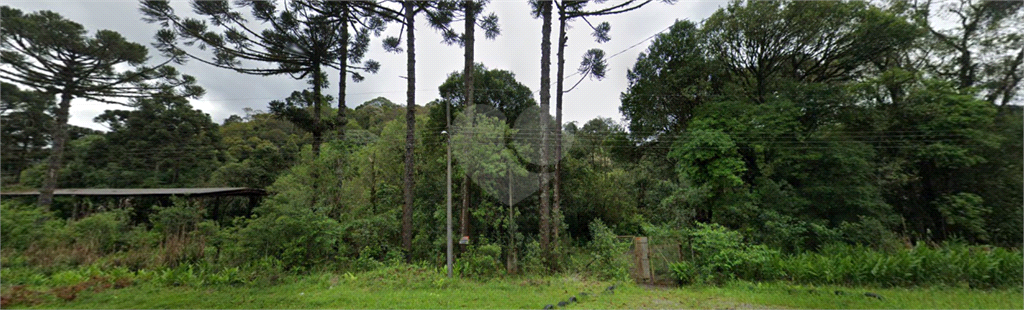 Venda Área de Terra Não Definido Centro REO621515 12