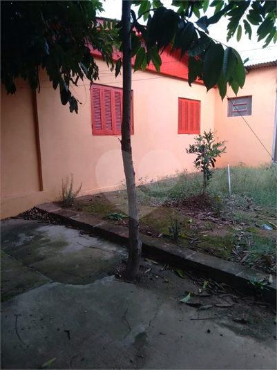 Foto REO621629