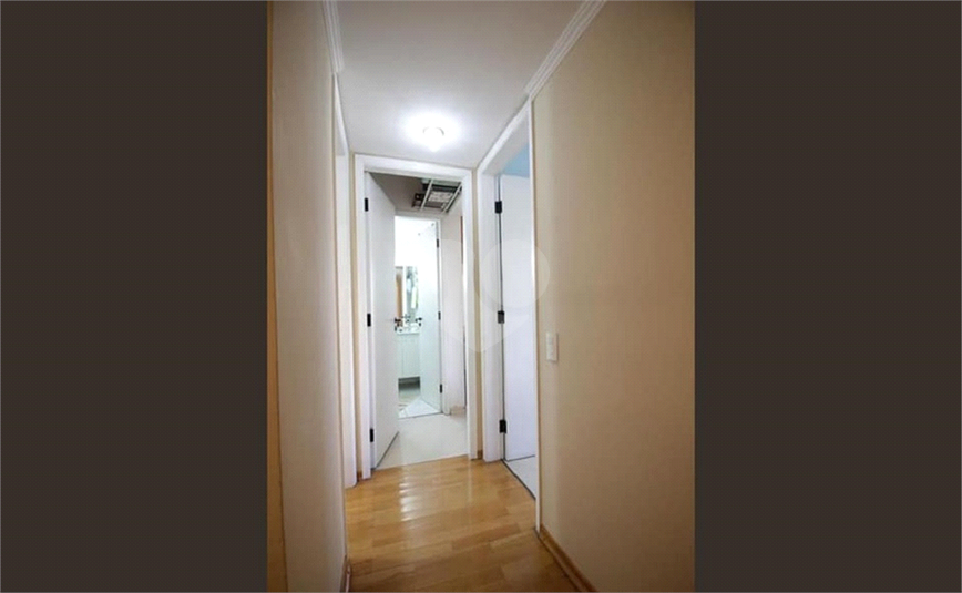Foto REO621649