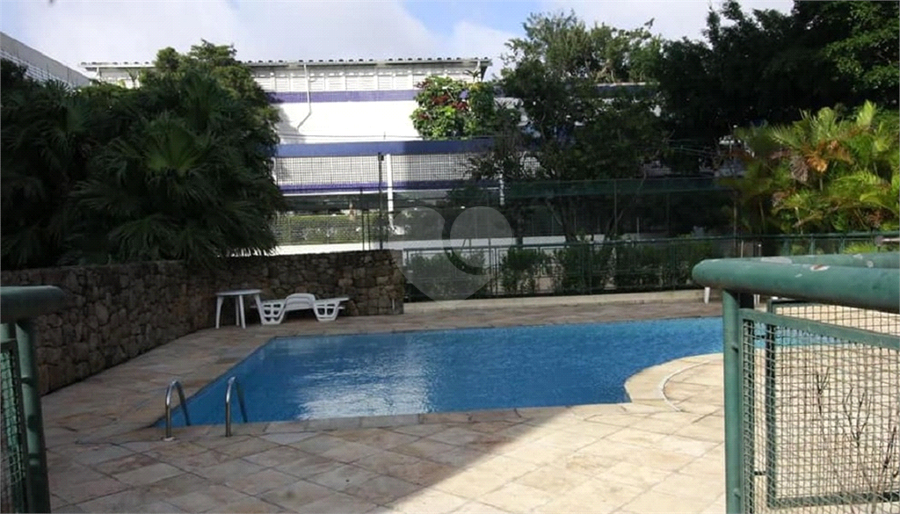 Foto REO621649