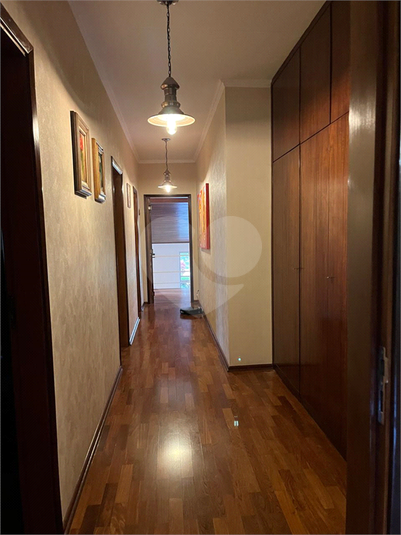 Foto REO621699
